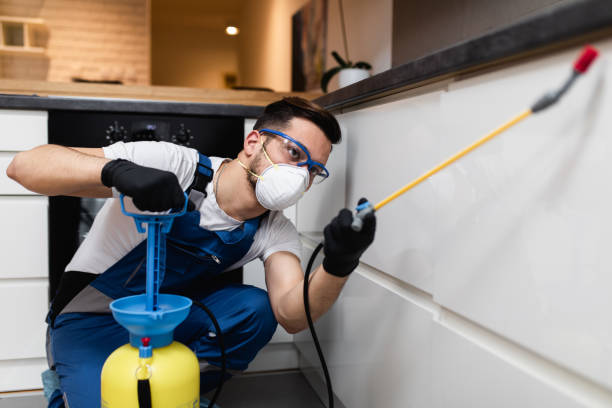 Best Residential Pest Control  in Liberty City, TX