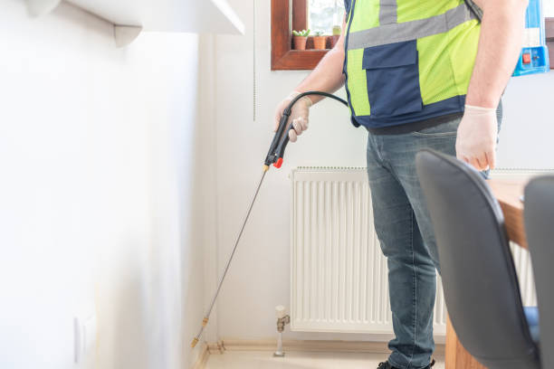Best Termite Control Services  in Liberty City, TX