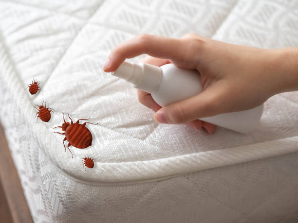Best Commercial Pest Control Services  in Liberty City, TX