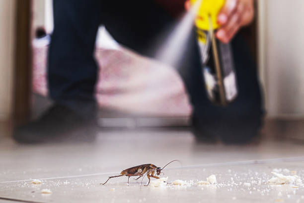 Best Pest Control Near Me in Liberty City, TX